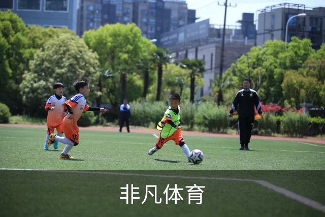 非凡体育公司简介图片